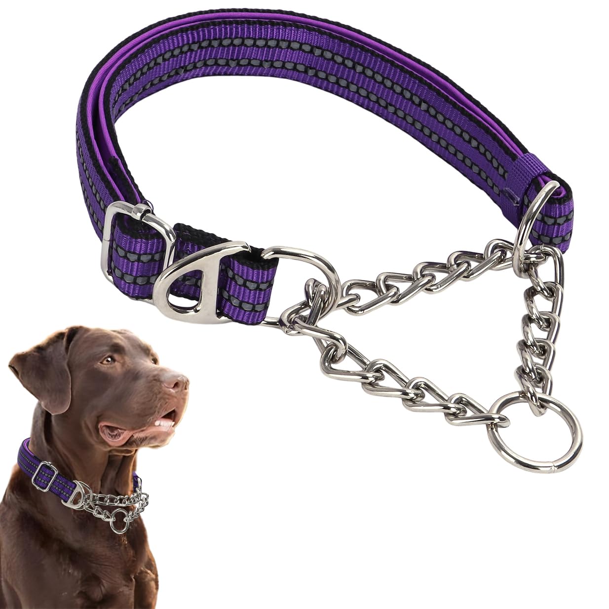 Martingale Collar for Dogs Reflective Nylon Dog Chain Collars Adjustable Heavy Duty Martingale Collar for Training Medium Large Breed Dogs