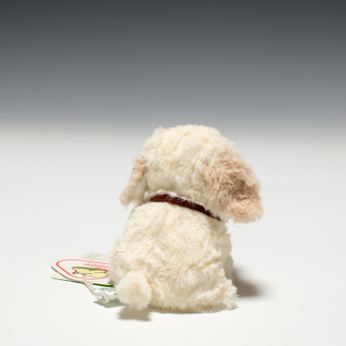 Amazon.co.jp: たけのこ キャンディフォンテーヌ レトリバー