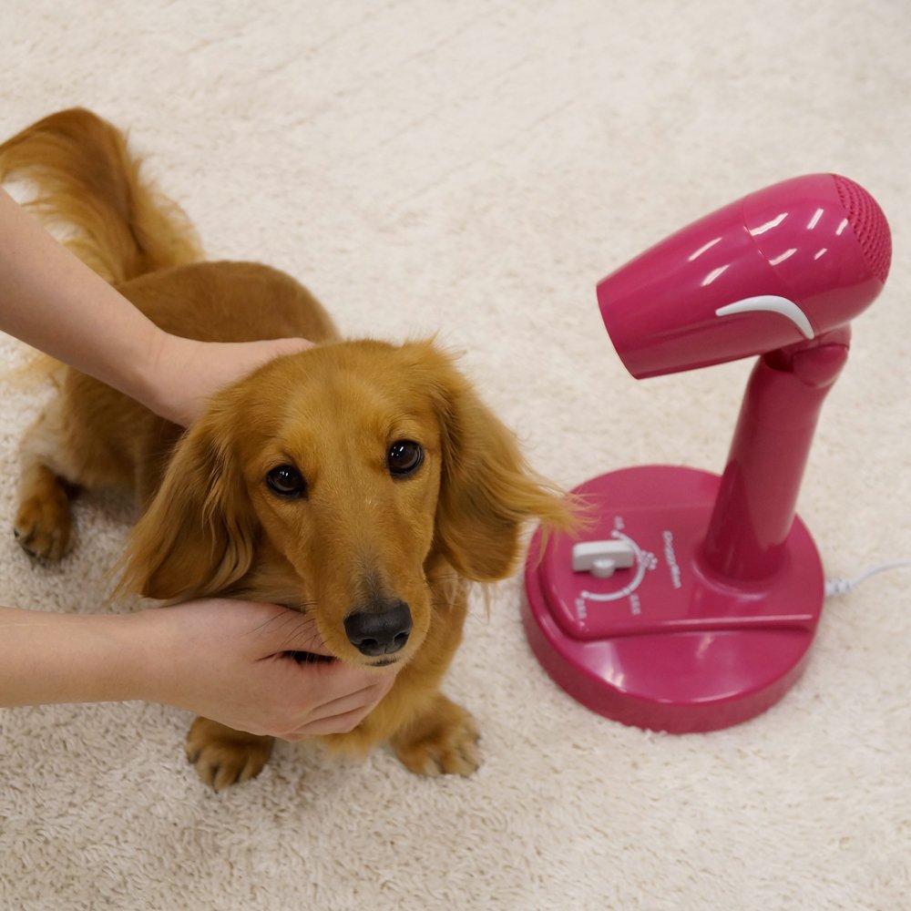 Amazon | ドギーマン フリーハンドドライヤー 1200W | ドギーマン