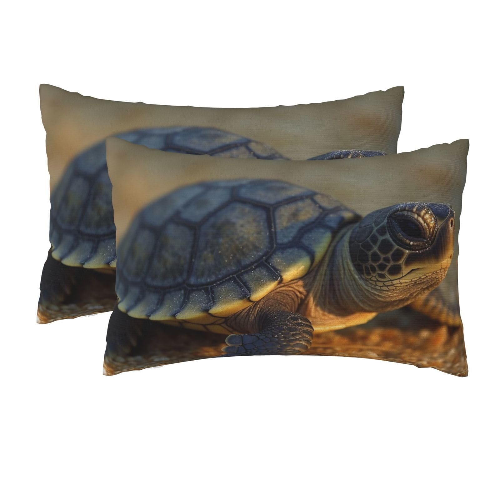 2 Pack Queen Pillow Cases with Hidden Zipper, Soft Breathable Pillow Covers for Hair and Skin, Baby Turtle Pillowcases 20"x30" Bed Pillow Protectors Cover for Sleeping Gifts