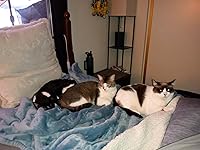 Review Image by ANDREA1969 ANDREA1969