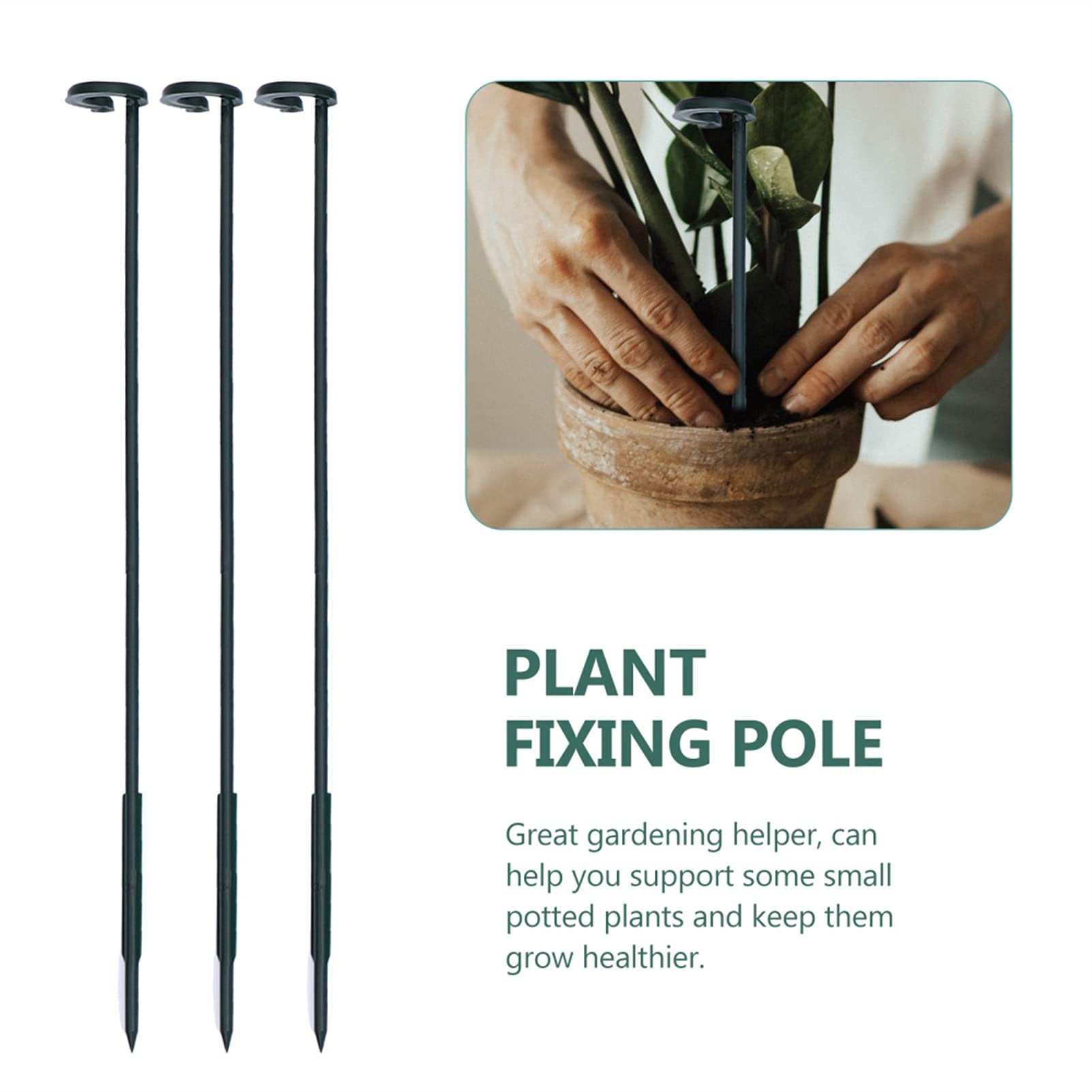 Saturey Tuteur Plante 1 Ensemble de tiges de Fixation de Plantes en Pot de Fleurs Polonais Bonsaï Support (Vert) Support pour Plantes De Jardin