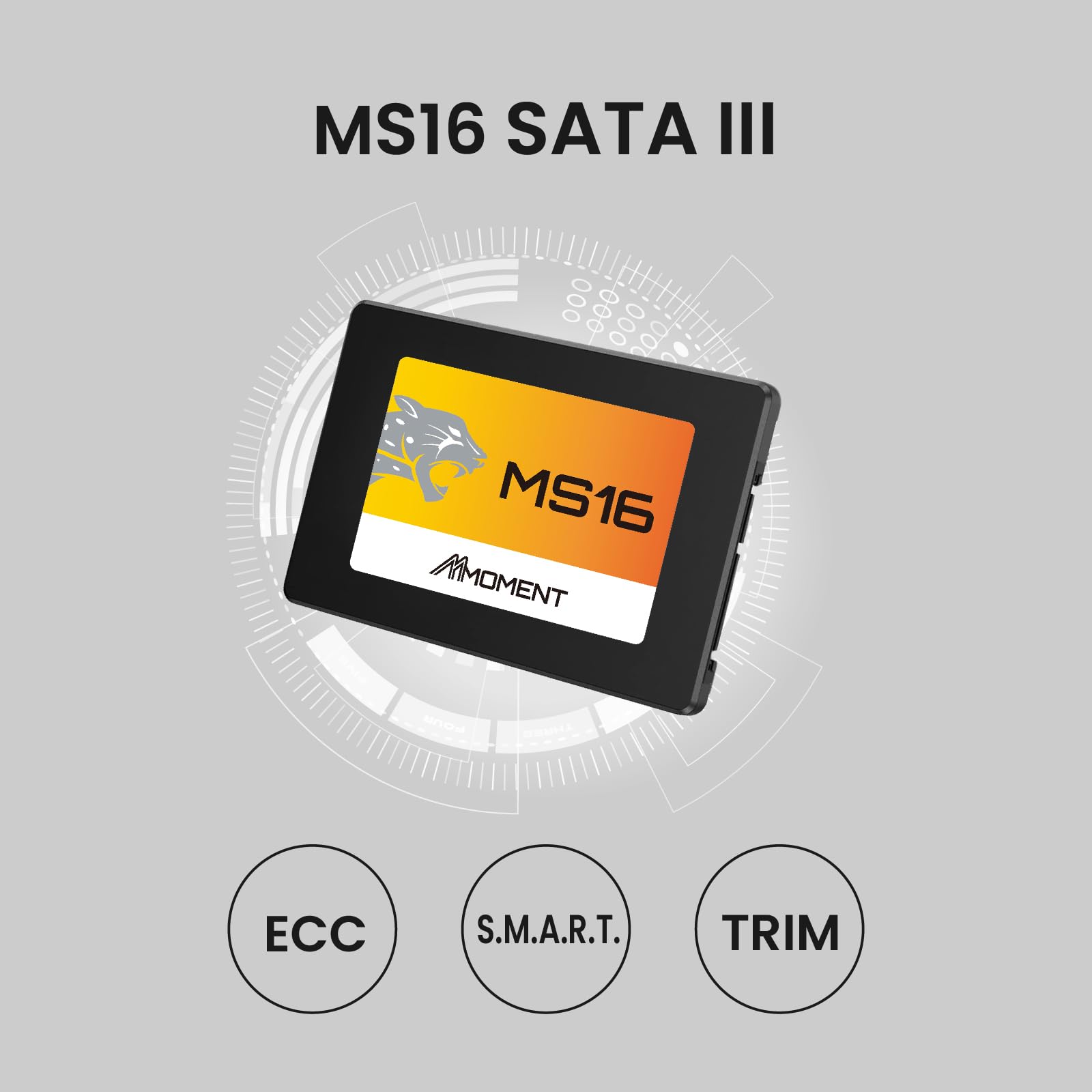 Amazon.com: MMOMENT MS16 256GB 2.5 Inch SATA III 6 GB/s Internal
