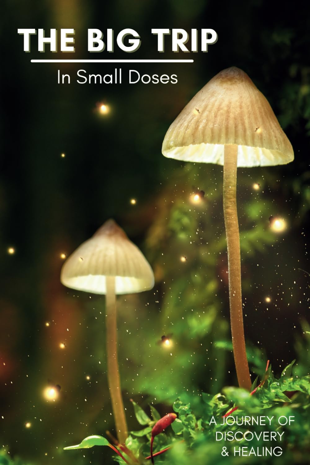 Microdosing Journal: With clear Prompts and Tracking Process to support your healing journey | The Big Trip in Small Doses | Mushroom Design (Psychedelic Microdosing Gifts)