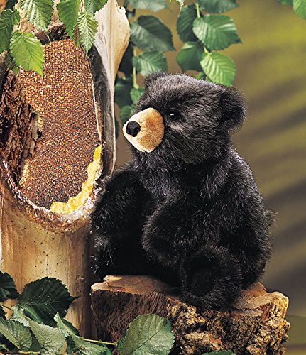Teddys Rothenburg Folkmanis, Handpuppe, Kleiner Bär, 20 cm, Dunkelbraun