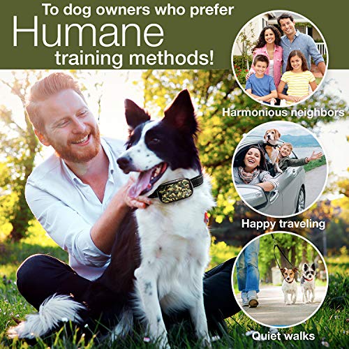 dogrook no bark collar