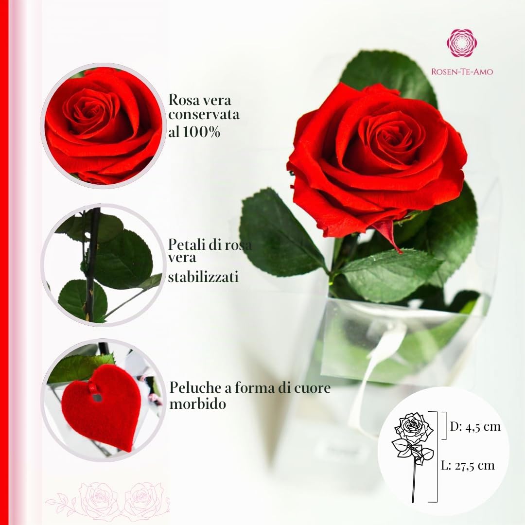 Rosen-Te-Amo | regalo Festa della Mamma | Rosa vera stabilizzata profumata "San Valentino" e biglietto auguri | Rosa eterna rossa | idea regalo compleanno, San Valentino, Natale | Regalo Donna