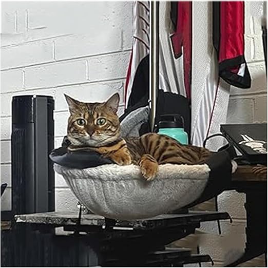 Cat Desk Bed, Can Withstand 50 Pounds of Adjustable Cat
