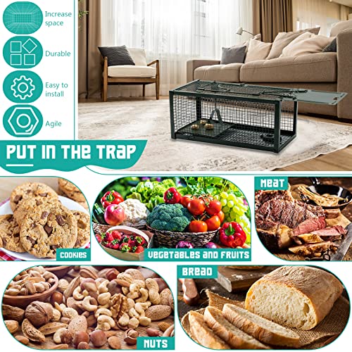 Qualirey MNA-QUALIREY-602 2 Pcs Live Rat Trap Humane Mouse Trap Mice Rat Cage Work For Small Animal Indoor And Outdoor Mouse Voles Hamsters Catch And Release thumb #2