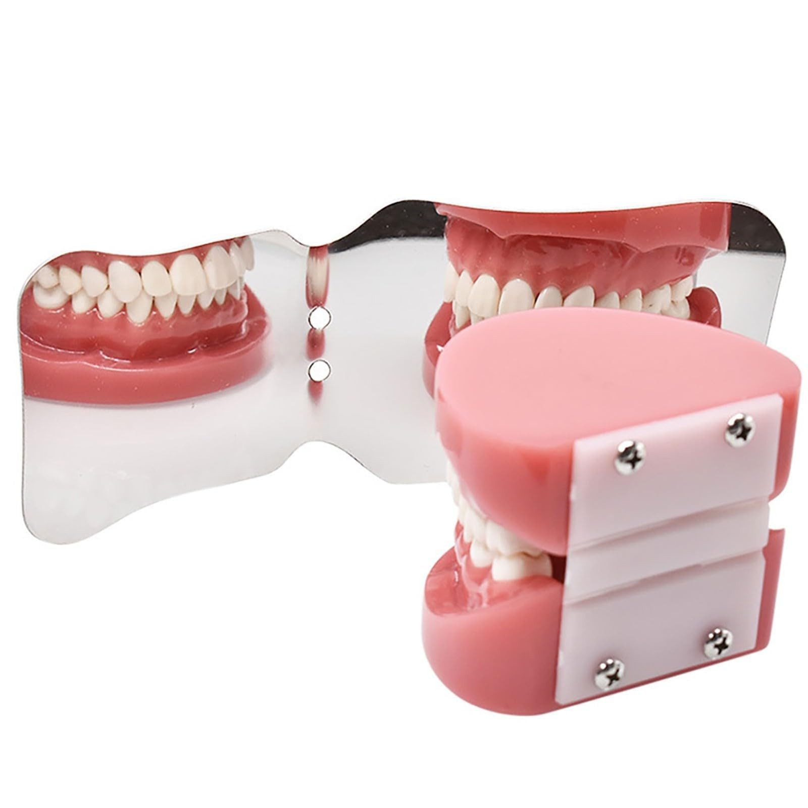 Espejo de acero inoxidable para fotografía dental, reflector bucal de ortodoncia