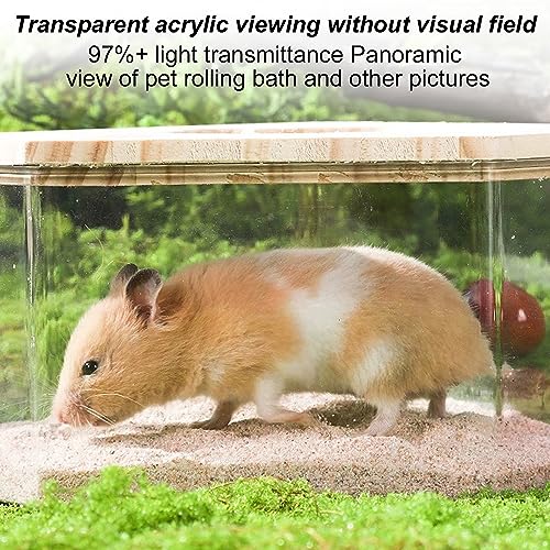 Nizirioo Transparentes Acryl-Sand-Badezimmer für Hamster Hamster Sandbadbox mit Leiter und Naturholzabdeckung und Schaufel, Haustier Hamster Badezimmer, für Hamster, Rennmäuse (Dreieck)