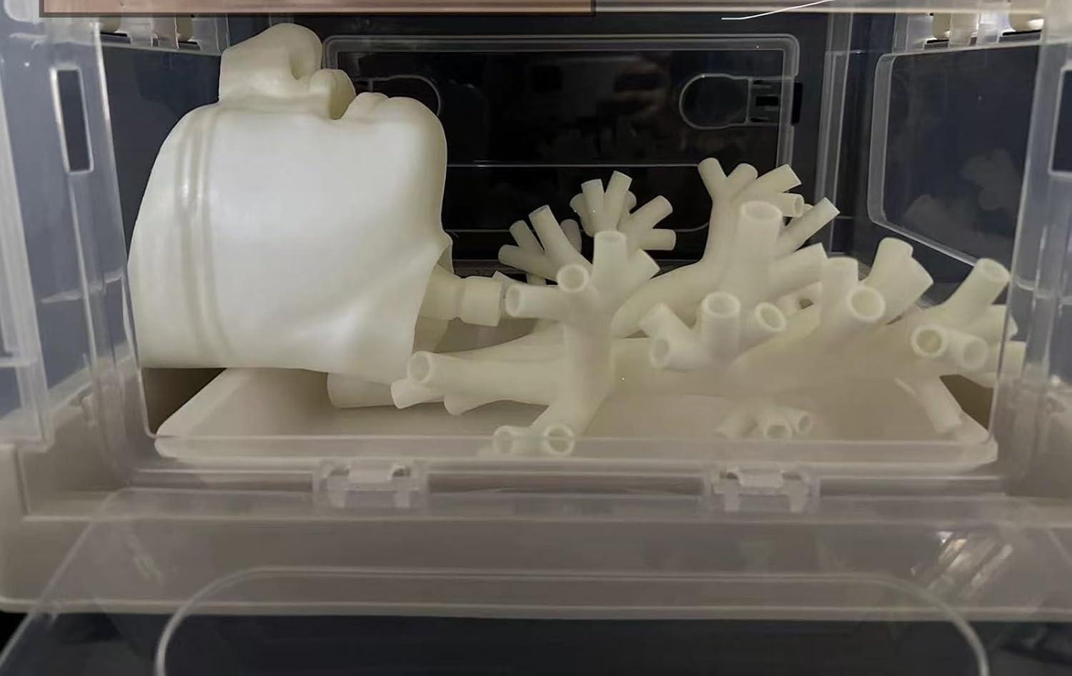 Model szkoleniowy bronchoskopii, ludzki układ oddechowy, krtań, tchawica | Bronchoskopowy model anatomiczny drzewa oskrzelowego, zestaw włókien oskrzelowych, do nauki pielęgniarstwa w szkole(2)