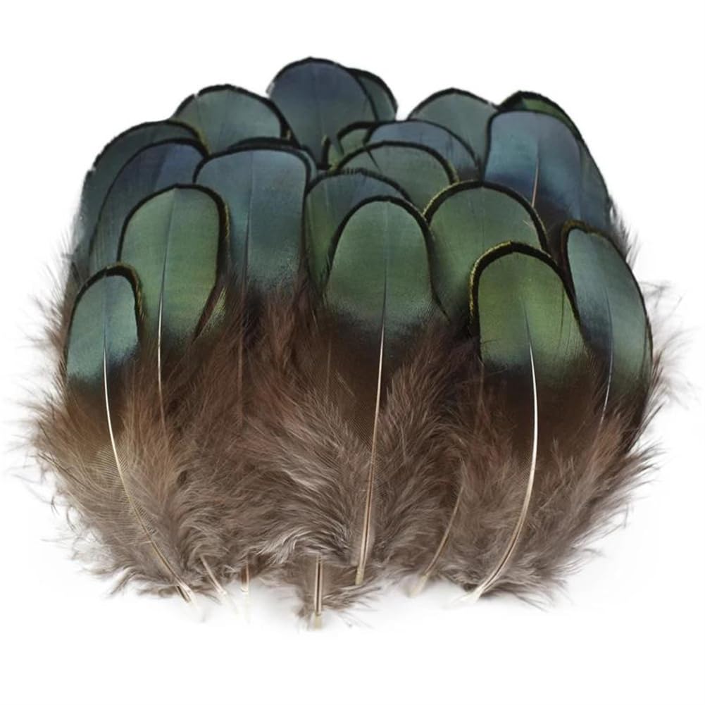 Natural Pheasant Feathers, Natural Pheasant Feathers 3-7cm 20-500 Pcs for Crafts Jewelry Making(20 Piece)
