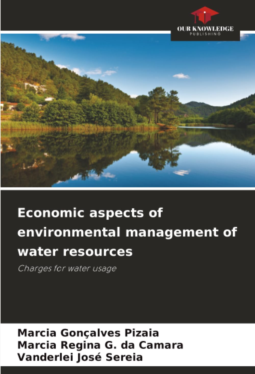 Economic aspects of environmental management of water resources: Charges for water usage