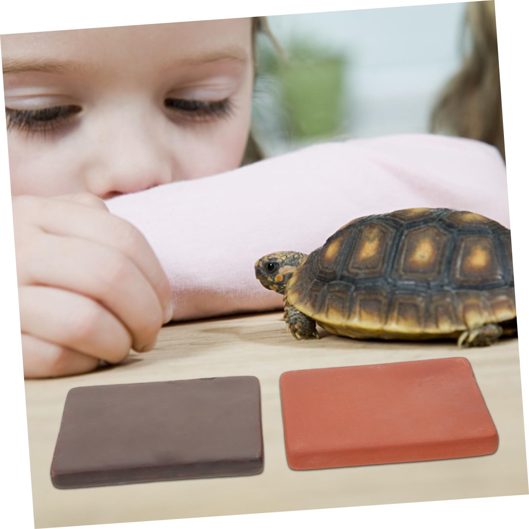 Lot de 6 Pièces, Bloc Céramique pour Tortues, Décor | Terre Cuite Artisanale, pour Bassin Aquatique et Terrarium Semi-aquatique, Format 3, 14x2, 36 Pouces