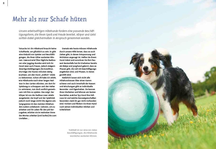 Spiele und Action für ausgeglichene Hütehunde: Border Collie, Australian Shepherd und Co. rassegerecht auslasten