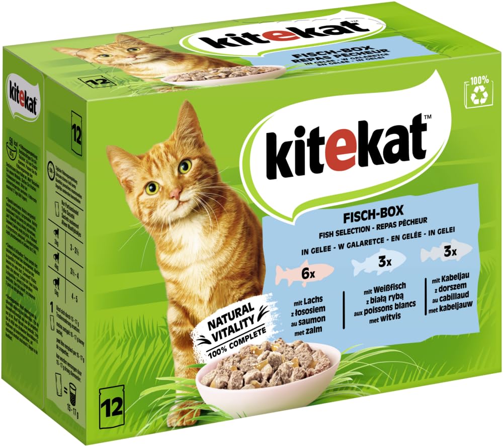 KITEKAT Fish Box in Jelly 12 x 85 g Cat Food Wet Food