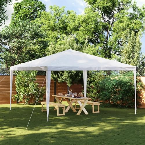 Rantry Tenda per Feste 4 x 4 m Bianca