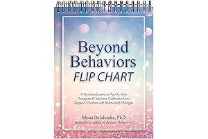 Beyond Behaviors Flip Chart: A Visual Guide to Understanding Challenging Behaviors