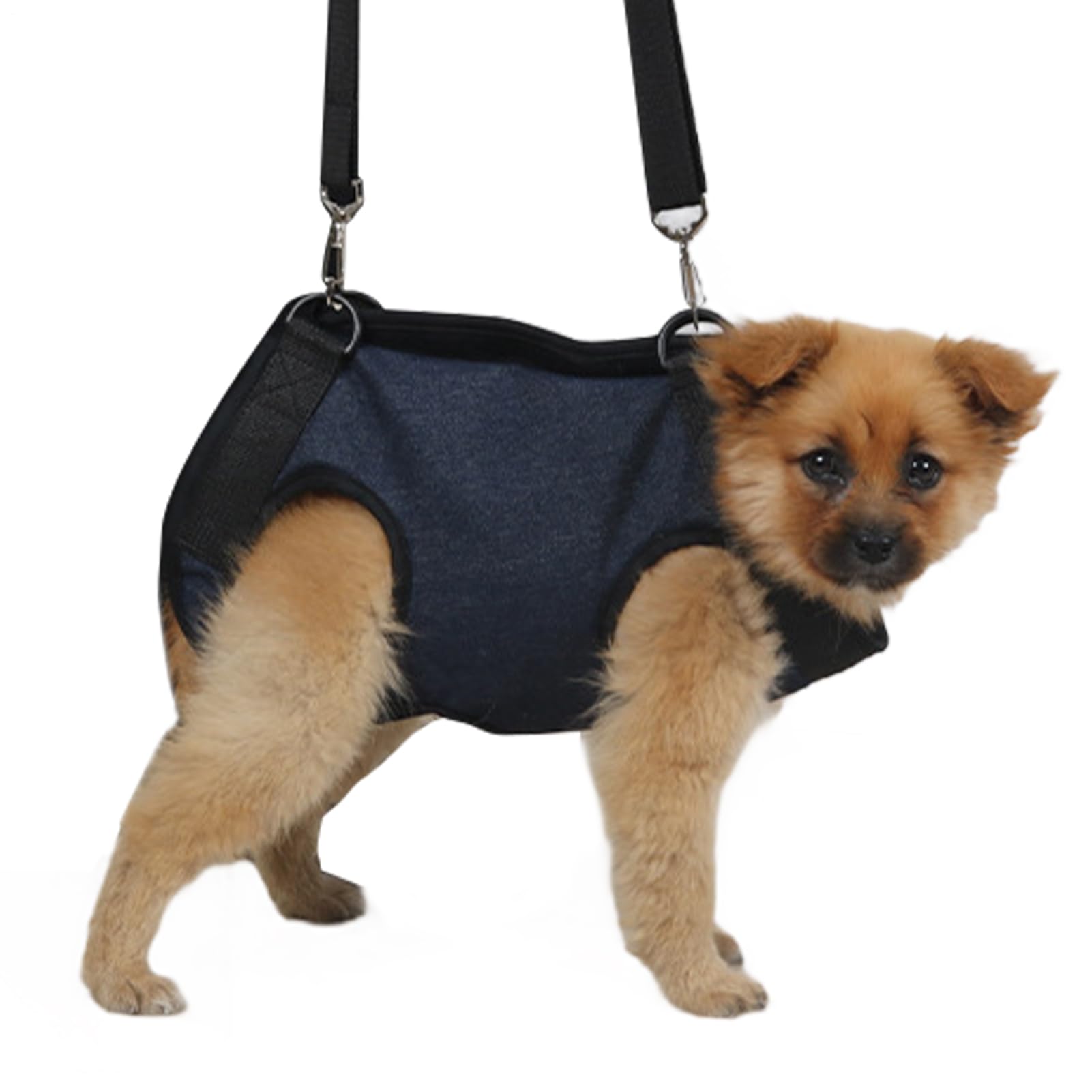 Pet Lifting Harness – Adjustable Dog Support Vest, No-Pull Recovery Sling, Mobility Strap Aid | Canine Assistance Belt for Puppy, Senior Dog, Injury Rehab, Large Medium Small Dog Walking Use