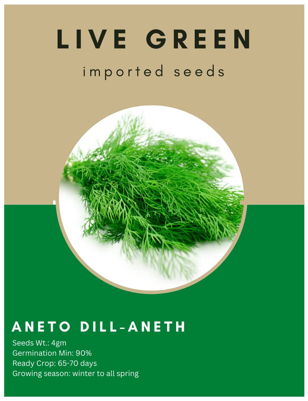 Live Green Imported Seeds - Aneto Dill Exotic Herb Seeds For Gardening - Pack of 4gm Seeds