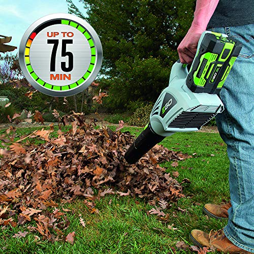 EGO Power+ LB4803 480 CFM 3-Speed Turbo 56V Lithium-ion Cordless Leaf Blower Kit 2.5Ah Battery and Charger Included