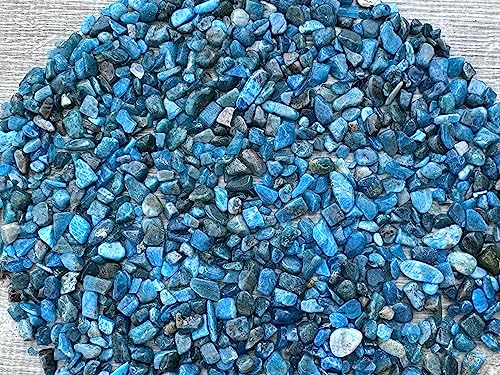 Image of GAF TREASURES 2 oz Lot Natural Apatite Semi Tumbled Gemstone Chips, Crushed Mini Crystals, Undrilled Crystal Chips (Apatite)