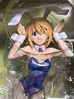 IS インフィニット・ストラトス シャルロット・デュノア Bunny Style 51tHbc+LVrL._AC_UL210_SR210,