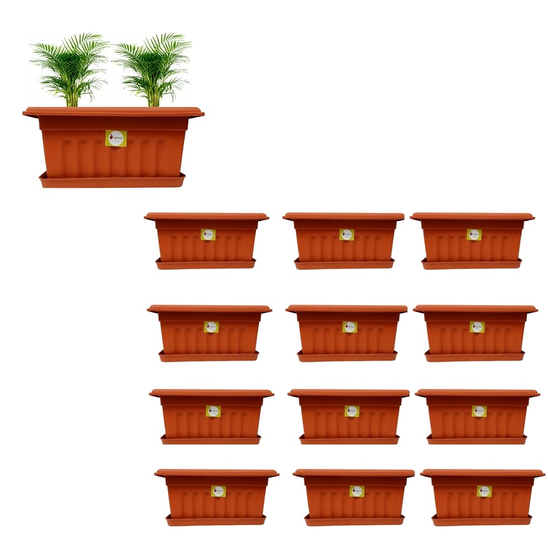 spylark Premium 3 Rectangle Planters - Plastic Pots (Pack of 12) 18 inch (B08CMJ8NSS) Amazon Price History, Amazon Price Tracker
