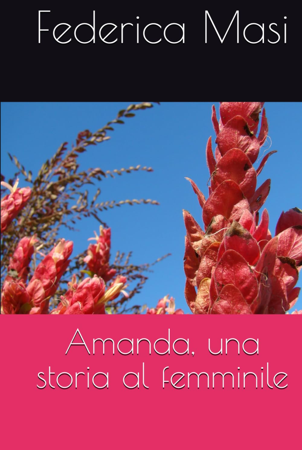 Amanda, una storia al femminile