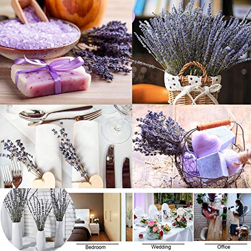 Ramos secos de lavanda para decoración y manualidades miniatura 7