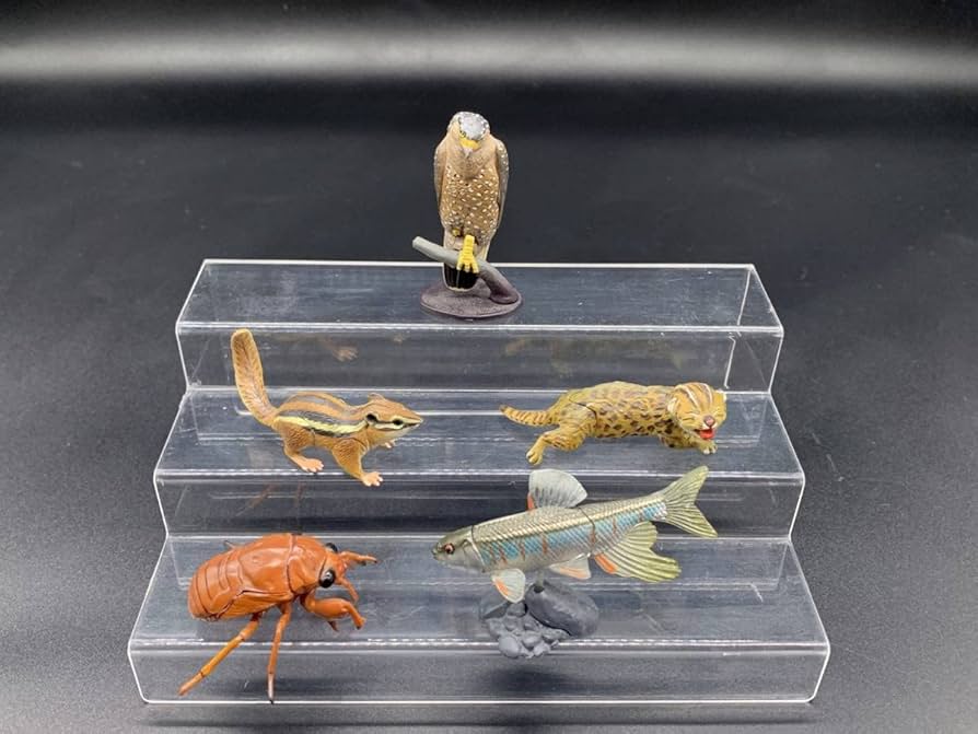 チョコQアニマテイルズ 日本の動物第10弾 Amazon | 海洋堂チョコQ アニマルテイルズ 日本の動物 第10弾