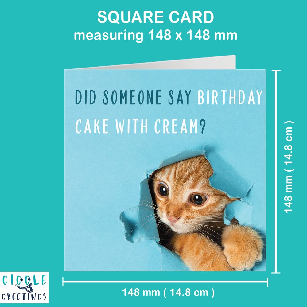 Giggle Greetings Funny Cat Birthday Card for Him or Her - Funny Birthday  Card with Orange Envelope - Eco Card : Amazon.com.be: Office Products