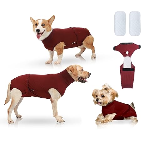 dog diaper after neutering