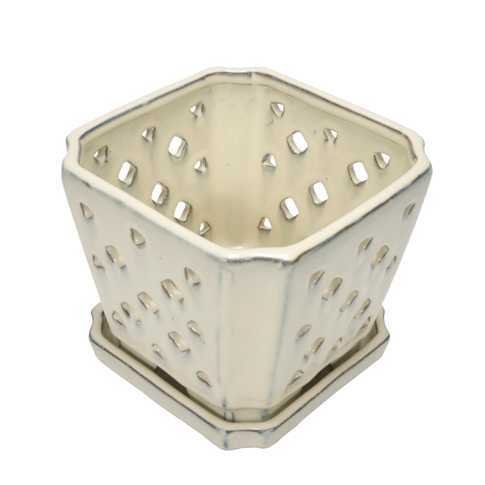 W&W Vaso per orchidee con fori e piattino per rinvasare e coltivare meglio, bianco crema, 17,8 cm
