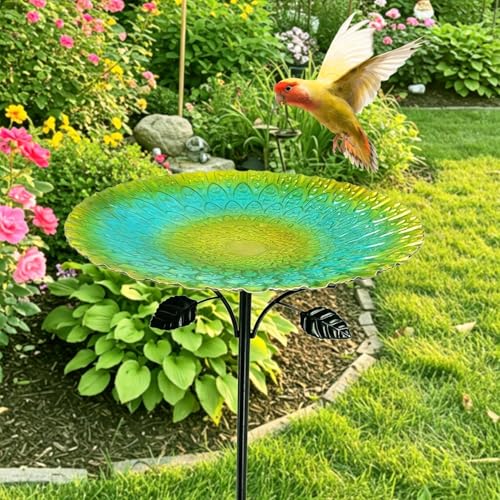 Bain d'oiseaux résistant aux intempéries pour cour et jardin - 4