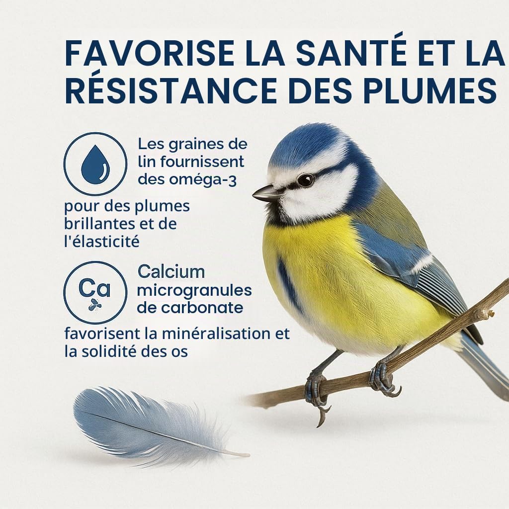 GiDeli Nourriture pour oiseaux sauvages d'hiver 30 kg – Nourriture pour oiseaux sauvages toute l'année – Nourriture pour mésanges pour jardin et balcon avec graines de lin riches en oméga-3, calcium