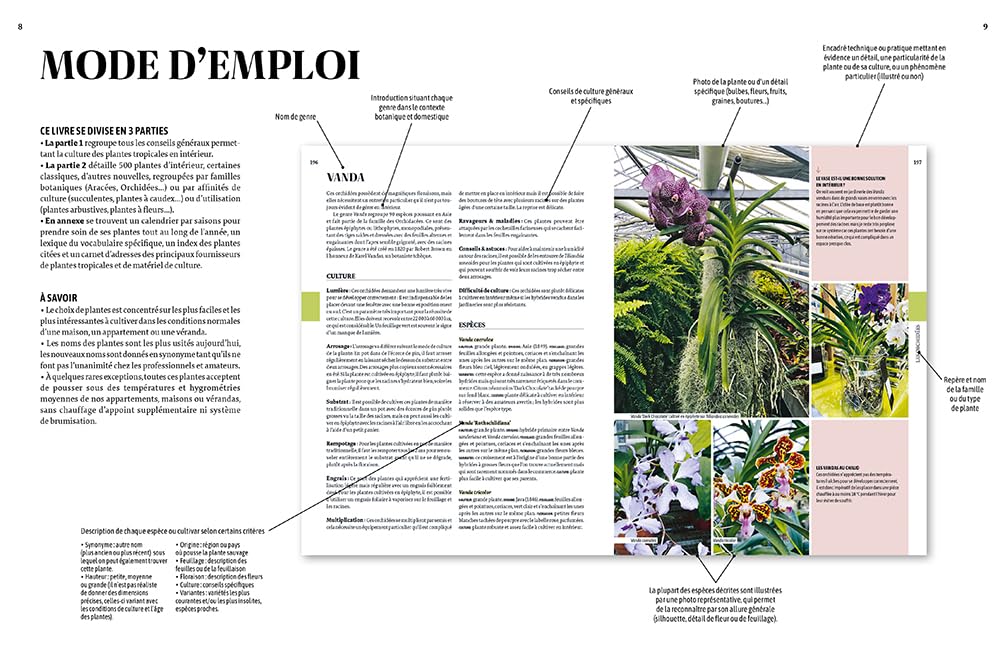 Encyclopédie des plantes d'intérieur: 500 plantes, des plus classiques aux plus insolites - Les choisir, les entretenir, les soigner - Les mutiplier et agrandir sa collection