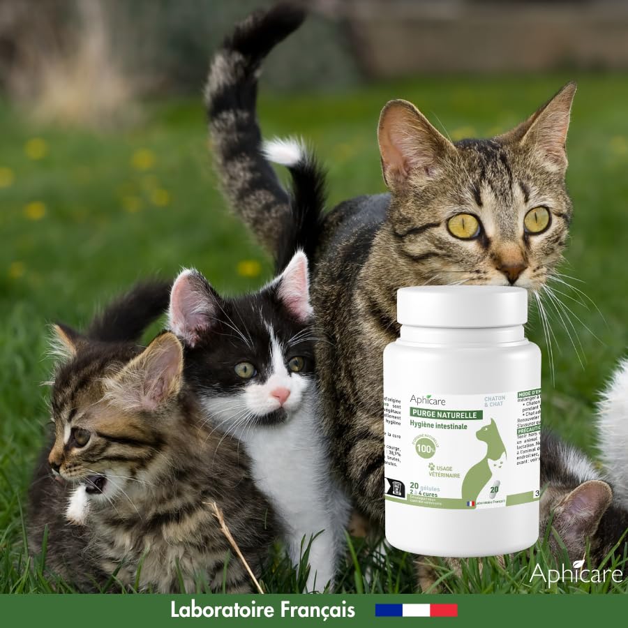 Hygiène intestinale - Confort intestinal - 20 gélules - levure de bière - 3 extrait végétaux - Complément Alimentaire - Chat et Chaton - Fabriqué en France