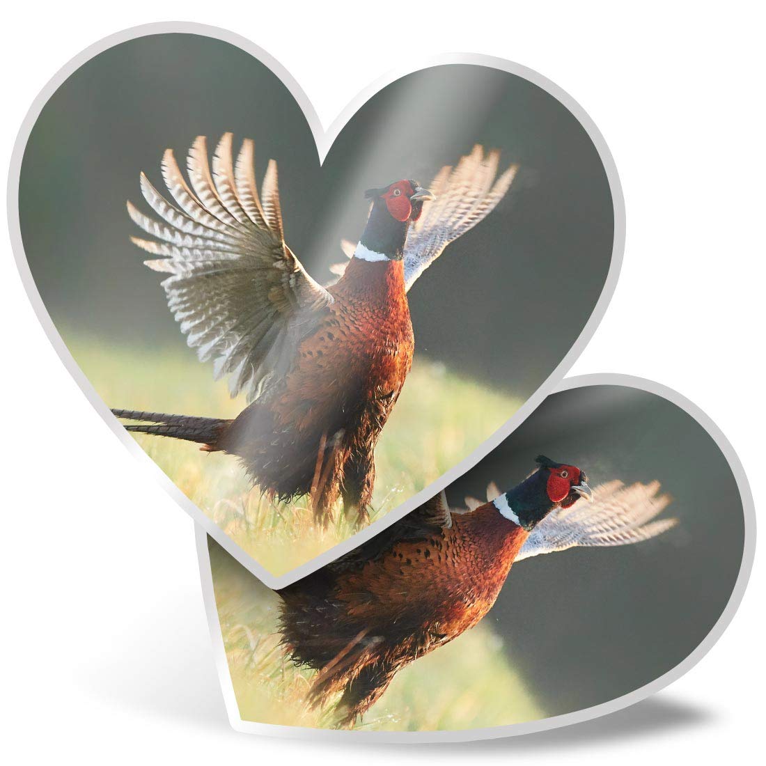 Destination Vinyl Ltd Boys Multi 2 X Heart Stickers 7.5 Cm - Ringneck Pheasant Bird Fun Decals For Laptops,Tablets,Luggage,Scrap Booking,Fridges, #45660
