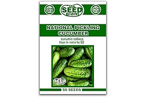 National's Non-GMO Pickling Cucumber Seeds - 50 Seeds for a Crisp, Flavorful Harvest
