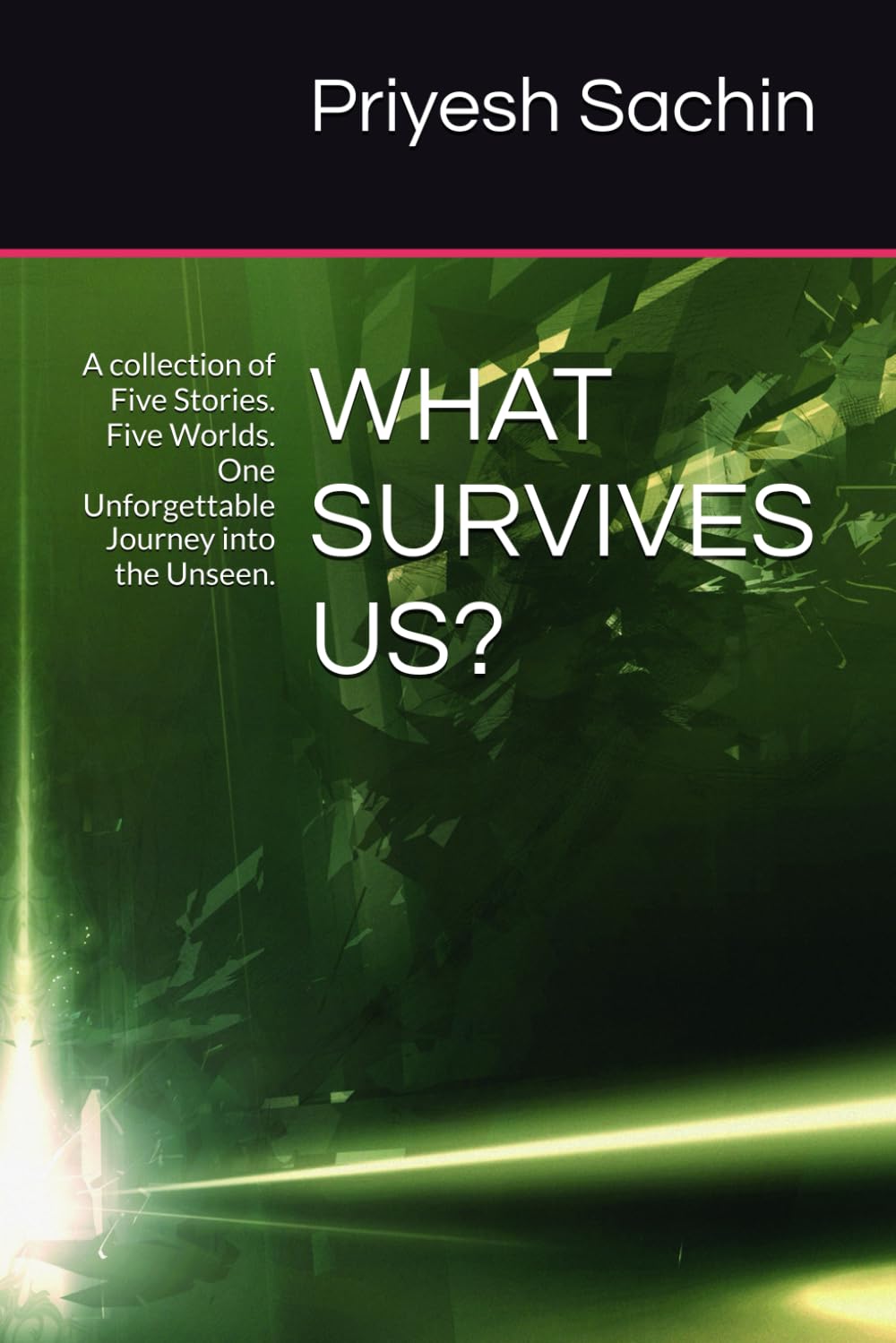 WHAT SURVIVES US?: A collection of Five Stories. Five Worlds. One Unforgettable Journey into the Unseen.