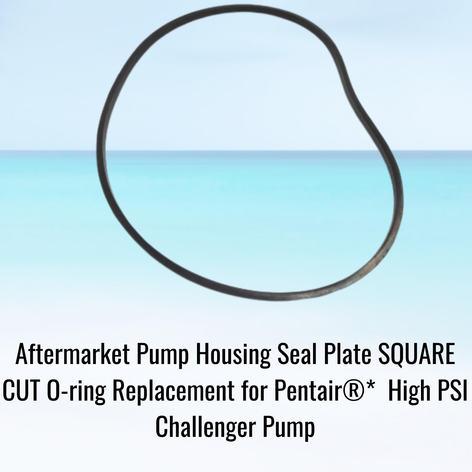 33 ① Amazon.com : Pentair 355329 Front Housing O-Ring Replacement