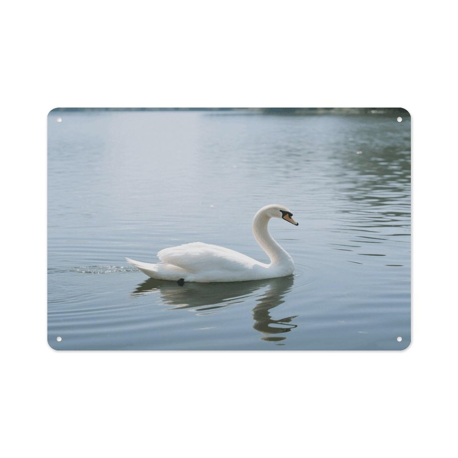 VstaDank White Swan Wall Art Prints Metal Sign Decor Painting Aluminum Wall Hanging Decor Vintage Poster Sublimation Picture Panel Weatherproof Art Decorative Wall Decors