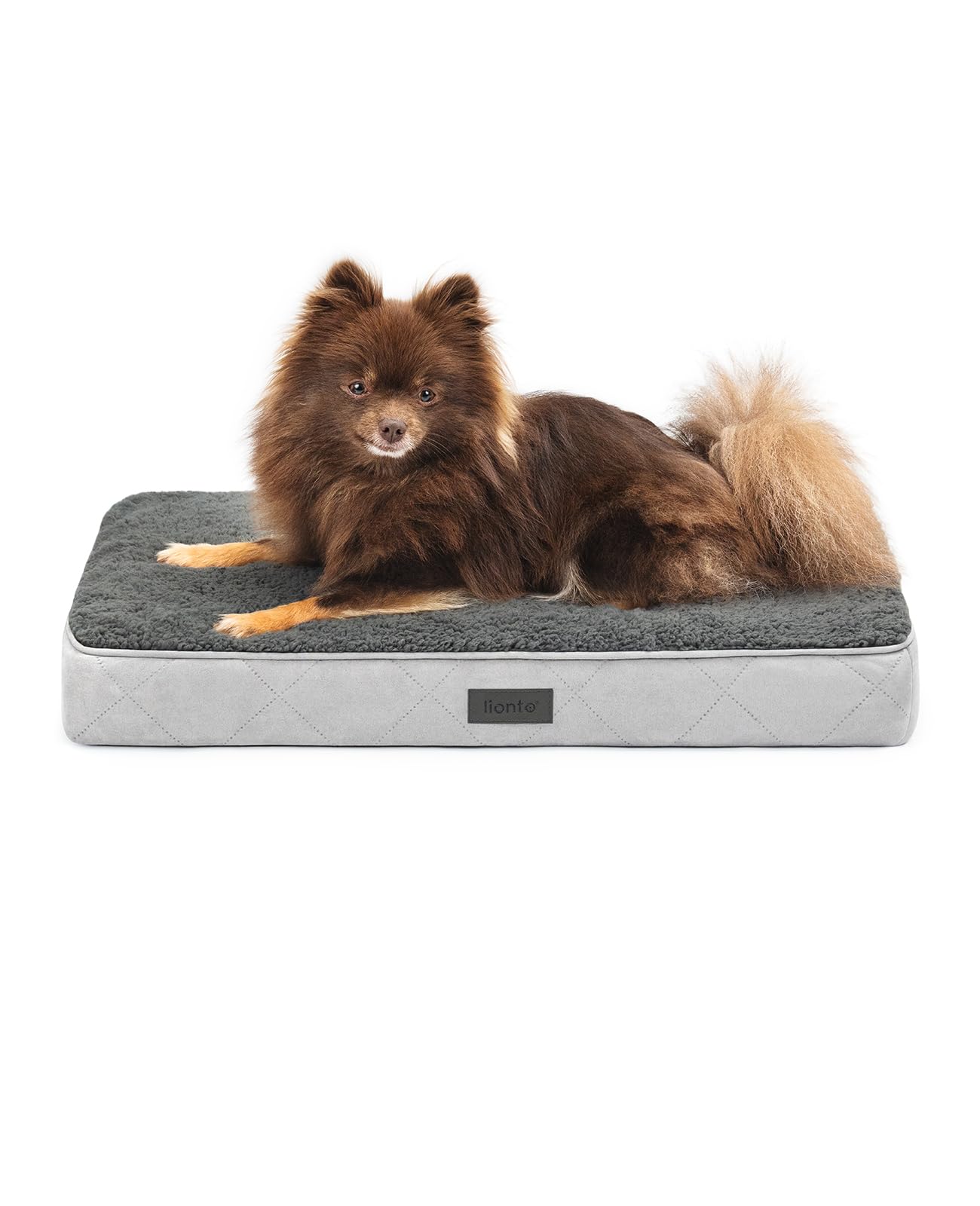 BingoPaw Luxury Cat Sofa, Pet Sofa With Backrest, P Produktbild-Vorschau 5
