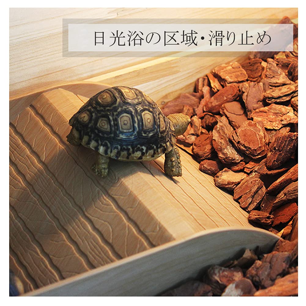 Amazon | チャミ 爬虫類 カメ ボックス 亀箱 タートル 爬虫類
