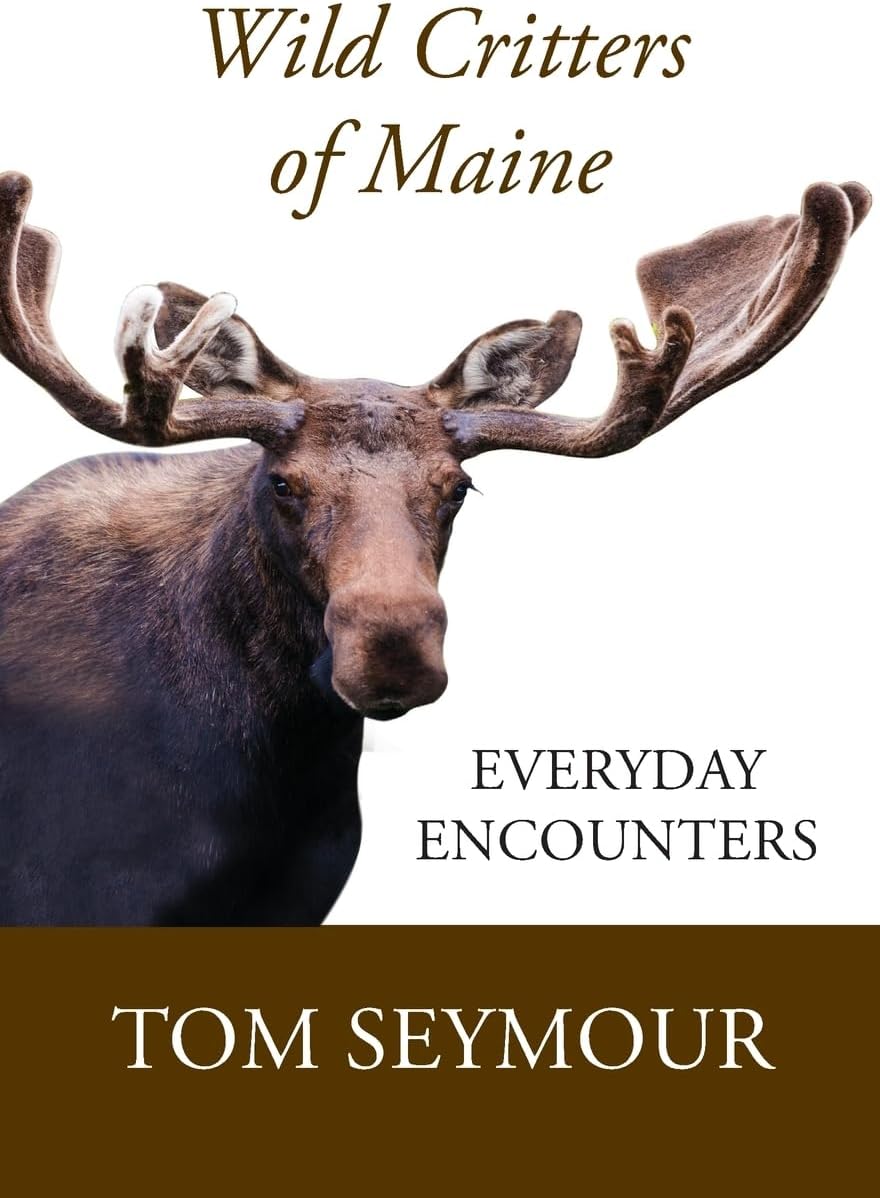 Wild Critters of Maine: Everyday Encounters
