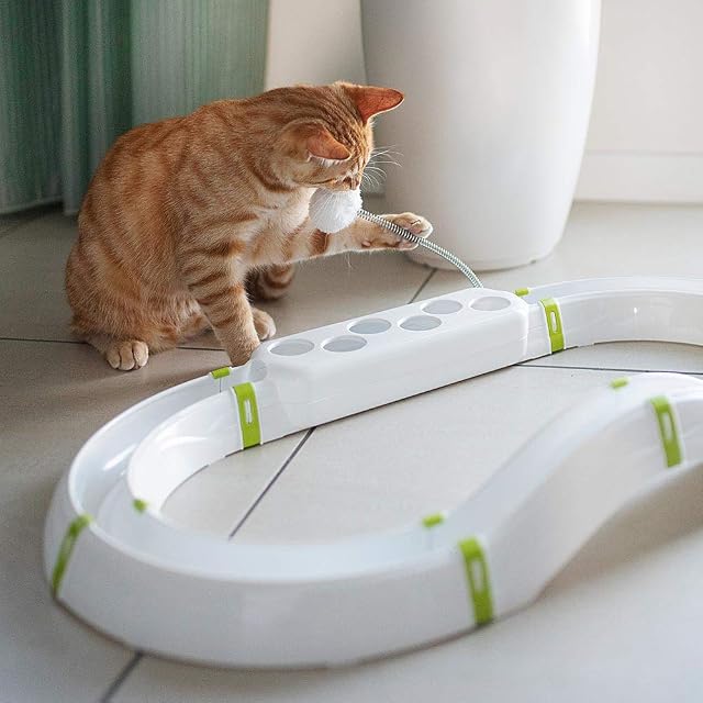 Foto 3 de 6 de Ferplast Juguete Interactivo para Gatos Labyrinth Circuito Juguete para Gatos con Resorte