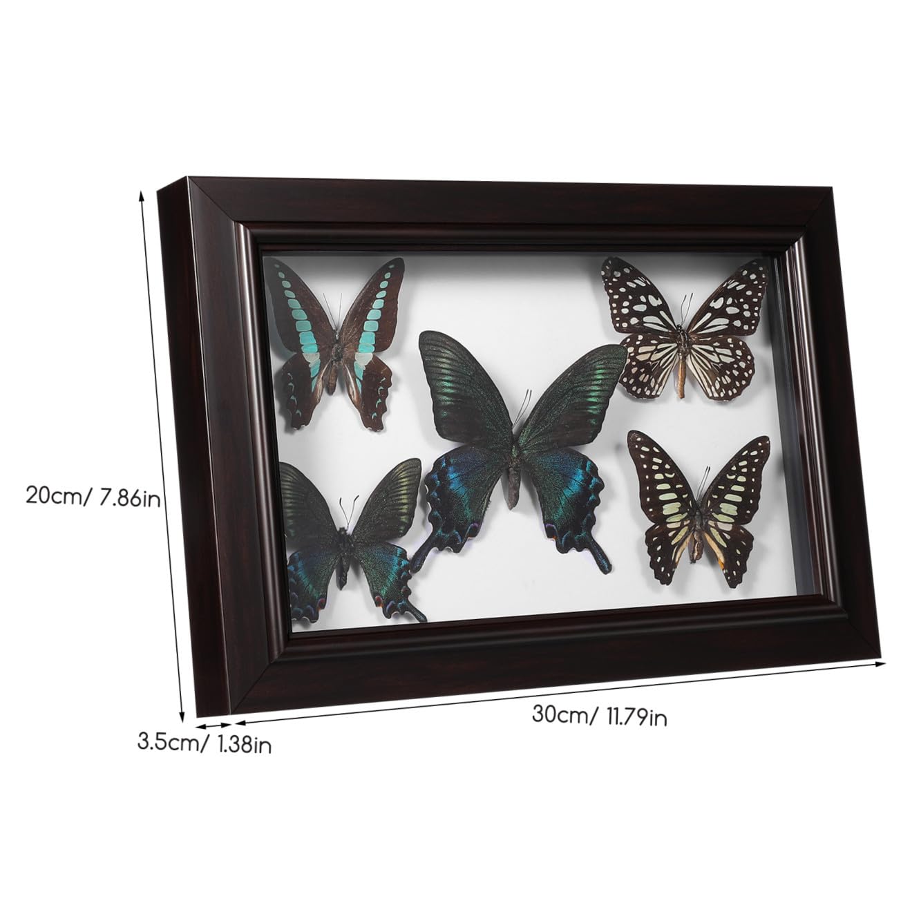 Cuadro Decorativo de Pared con Ejemplar de Lepidóptero A7 en Madera