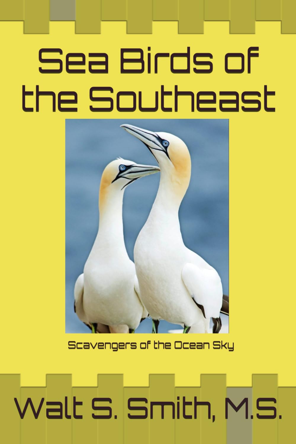 Sea Birds of the Southeast: Scavengers of the Ocean Sky